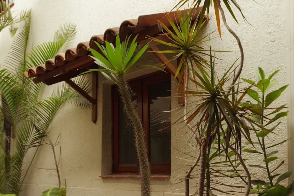 A window, lush greenery, and a brown awning.